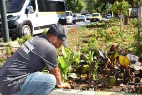 5272f301-754b-467c-9489-90bd3fbbee8e